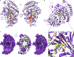 analytical and bioanalytical chemistry author instructions