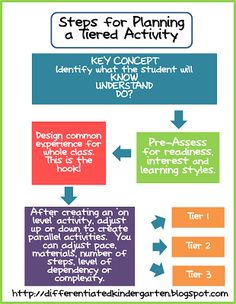 what does differentiated instruction look like