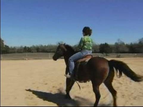 saddle bronc instructional videos