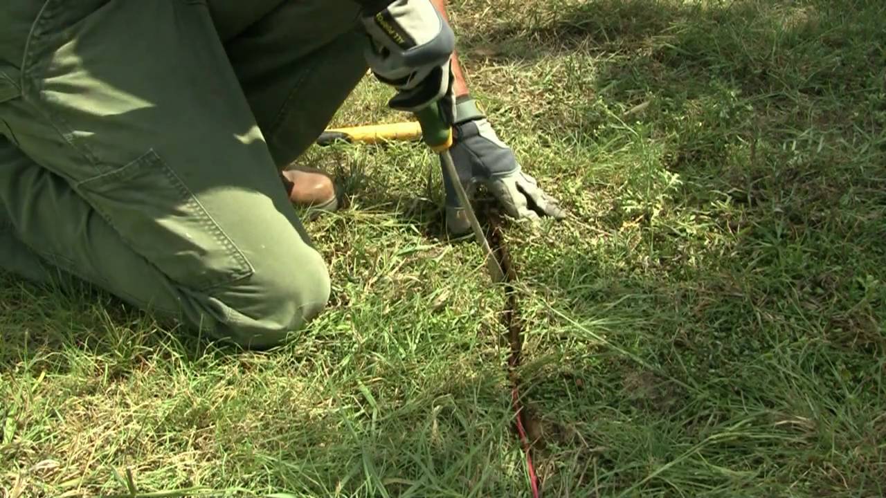 underground dog fence installation instructions