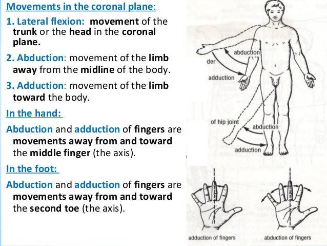 instructions for lateral felxion of the trunk