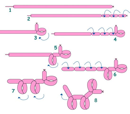 balloon sculpting instructions dog