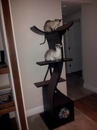 lotus cat tree assembly instructions