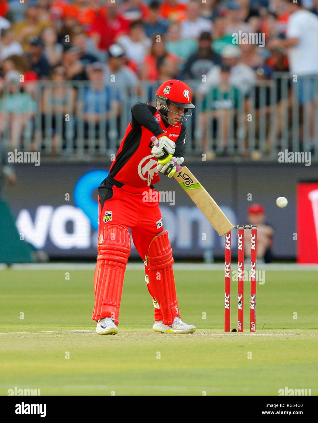 big bash stumps instructions