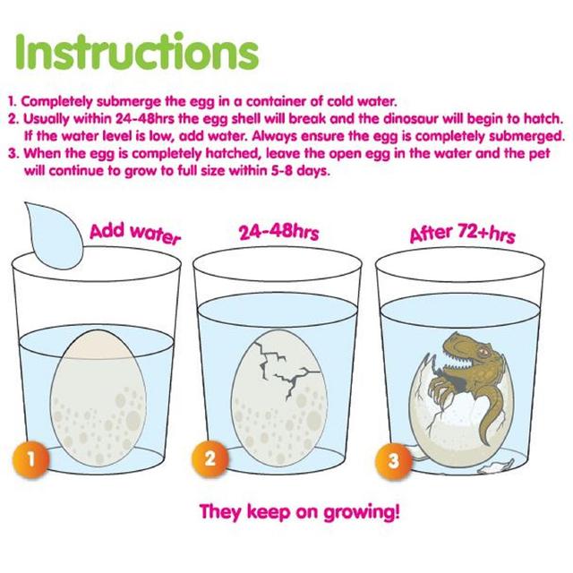 tnw large growing dinosaur egg instructions