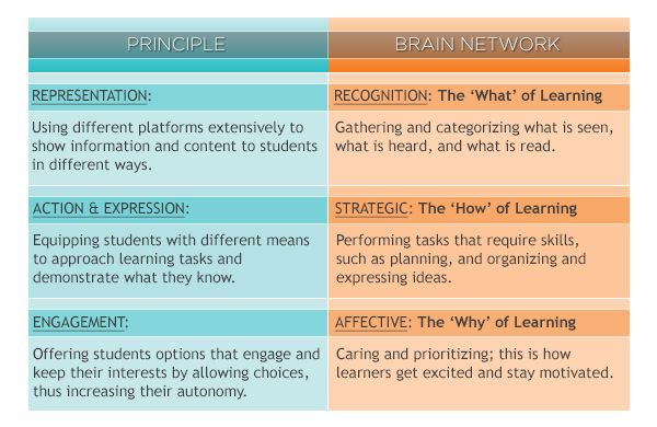 component 2 differentiation in instruction