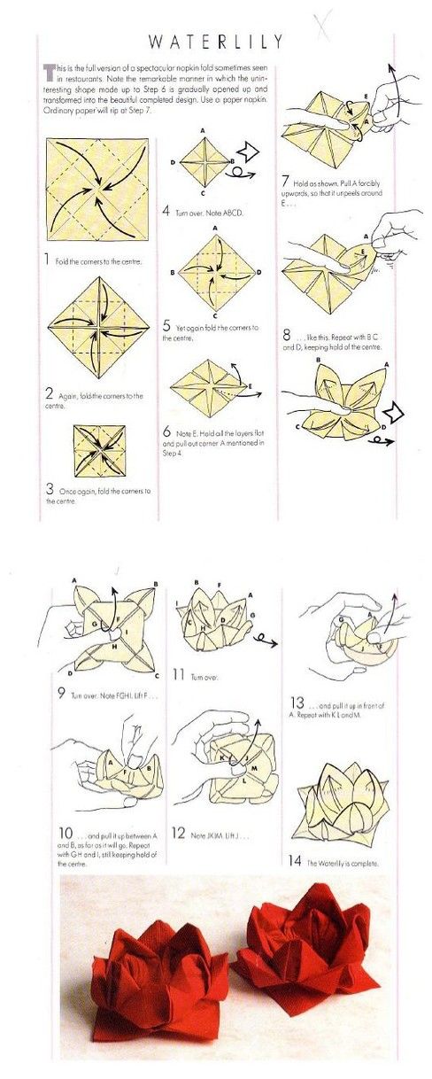 instructions for folding serviettes into lotus flowers