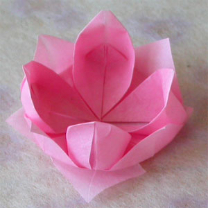 instructions for folding serviettes into lotus flowers