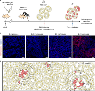 nature protocols instructions to authors