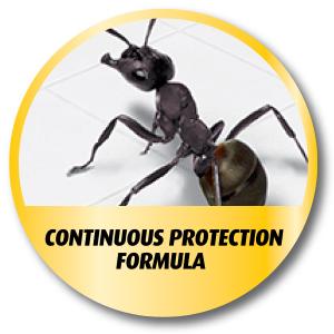 ortho liquid ant bait instructions