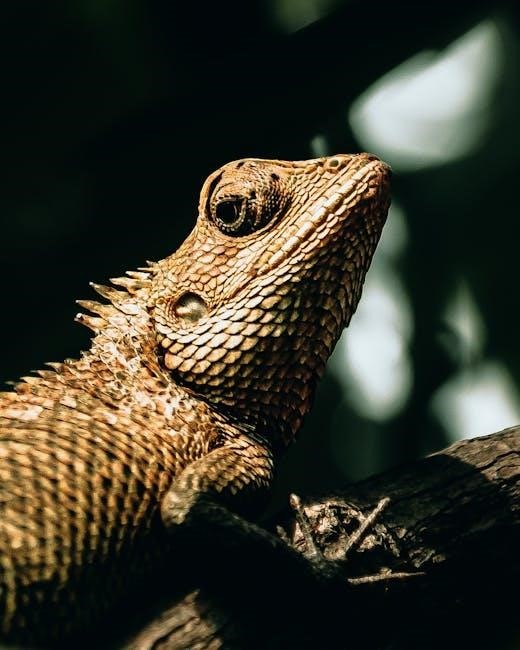 brown add scales pdf brown add scales pdf