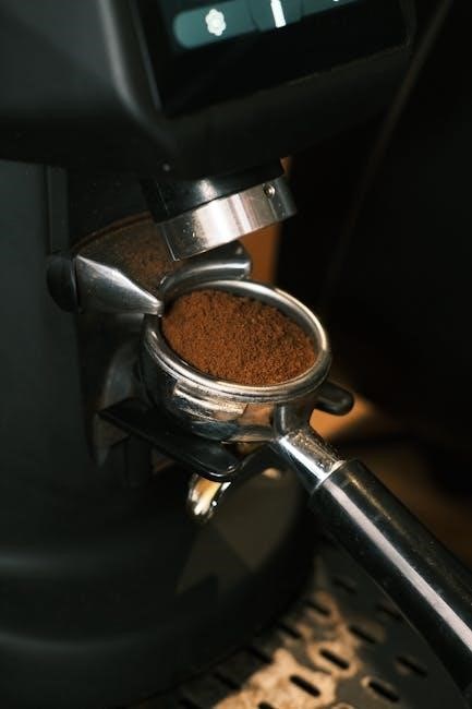 gaggia brera espresso machine manual gaggia brera espresso machine manual